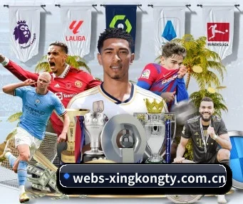 专业赛事服务, 为你而来(xingkong)